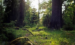 HRDLtd | Howard Ramsden (Diespec) Limited