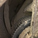 Ex Stock Dies