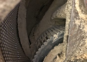 Ex Stock Dies